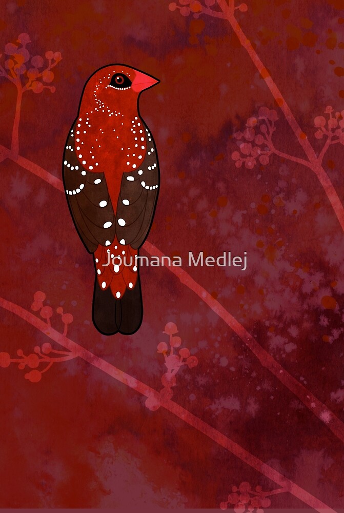 «Red Avadavat (Amandava amandava)» de Joumana Medlej