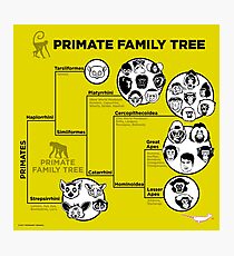 Primate Family Tree Photographic Print