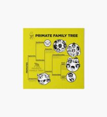Primate Family Tree Art Board