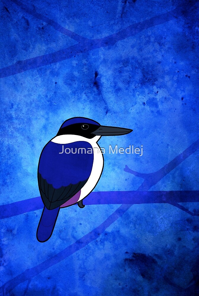 Ultramarine Kingfisher (Todiramphus leucopygius) by Joumana Medlej