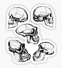 Brothers and Sisters Sticker