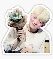 Seventeen Woozi Sticker