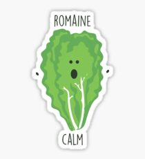 Romaine Calm // Happy Little Owl Collection Sticker