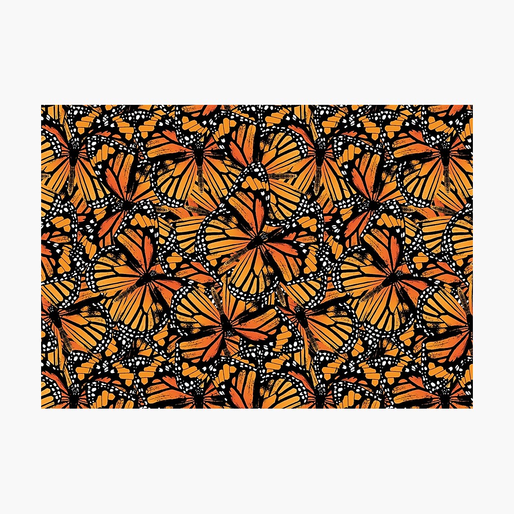 Monarch Butterflies | Vintage Butterflies | Butterfly Patterns | Photographic Print