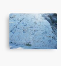 Where are they now? Canvas Print