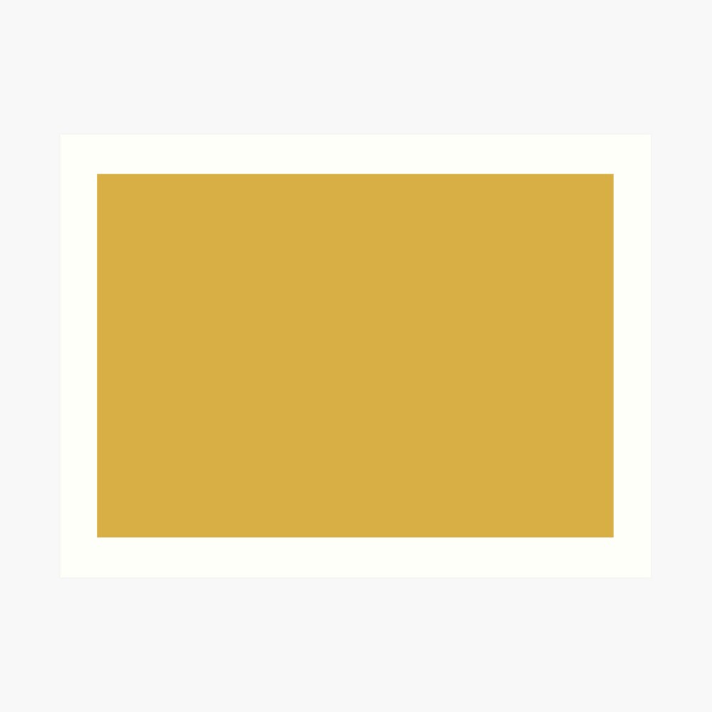 Spicy Mustard 14-0952 TCX | Pantone | Color Trends | Fall Winter 2016 | Solid Colors | Fashion Colors | Art Print