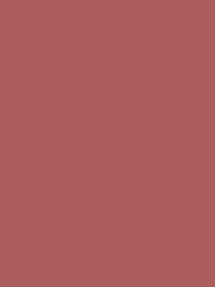 Dusty Cedar 18-1630 TCX | Pantone | Color Trends | Fall Winter 2016 | Solid Colors | Fashion Colors | by EclecticAtHeART