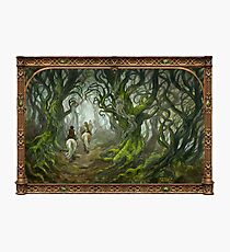 The Old Forest Photographic Print