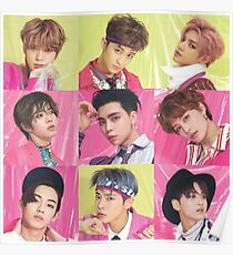 The Cherry Bunch (Cherry Version) Poster