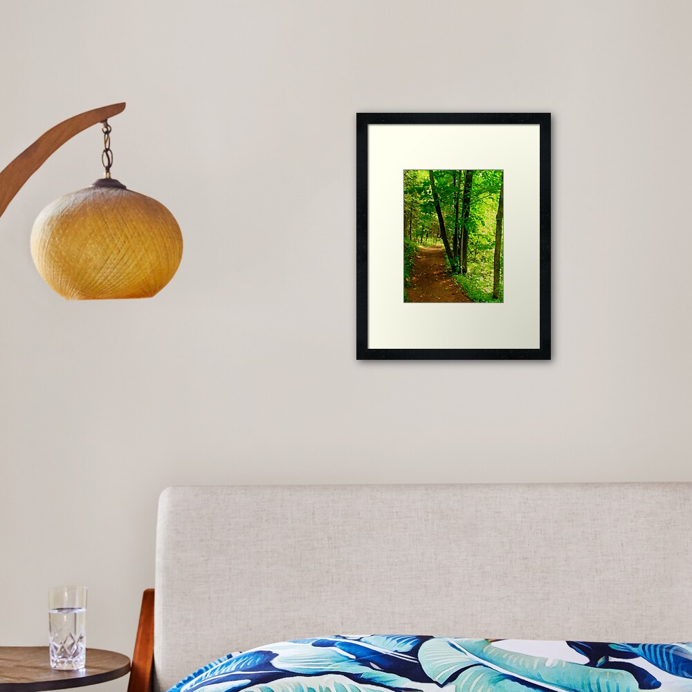 Your Path Framed Art Print