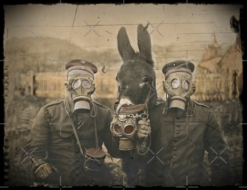 Soldaten Und Maultiere Tragen Gasmasken Von Dianegaddis Redbubble