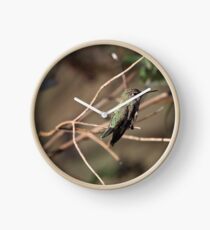 Hummingbird Clock