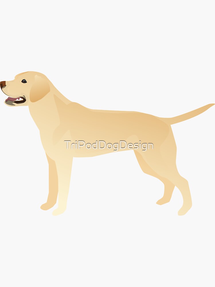 White Yellow Lab Basic Breed Silhouette Illustration by TriPodDogDesign