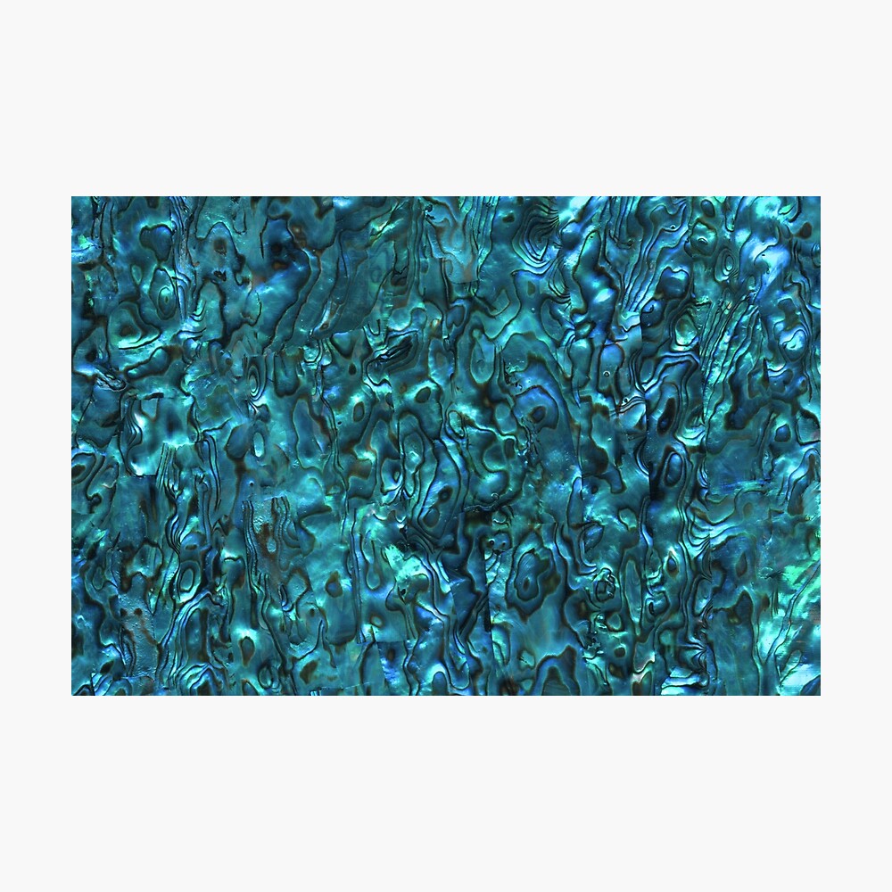 Abalone Shell | Paua Shell | Seashell Patterns | Sea Shells | Cyan Blue Tint | Photographic Print