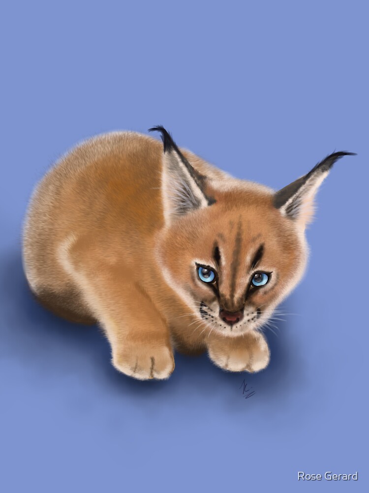 Caracal Cub by arkadyrose