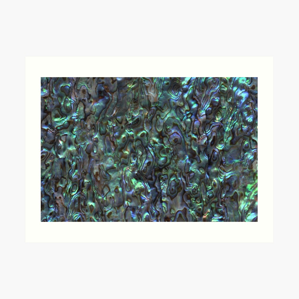 Abalone Shell | Paua Shell | Seashell Patterns | Sea Shells | Natural | Art Print