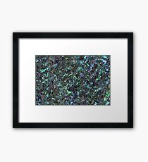 Abalone Shell | Paua Shell | Natürlich Gerahmtes Wandbild