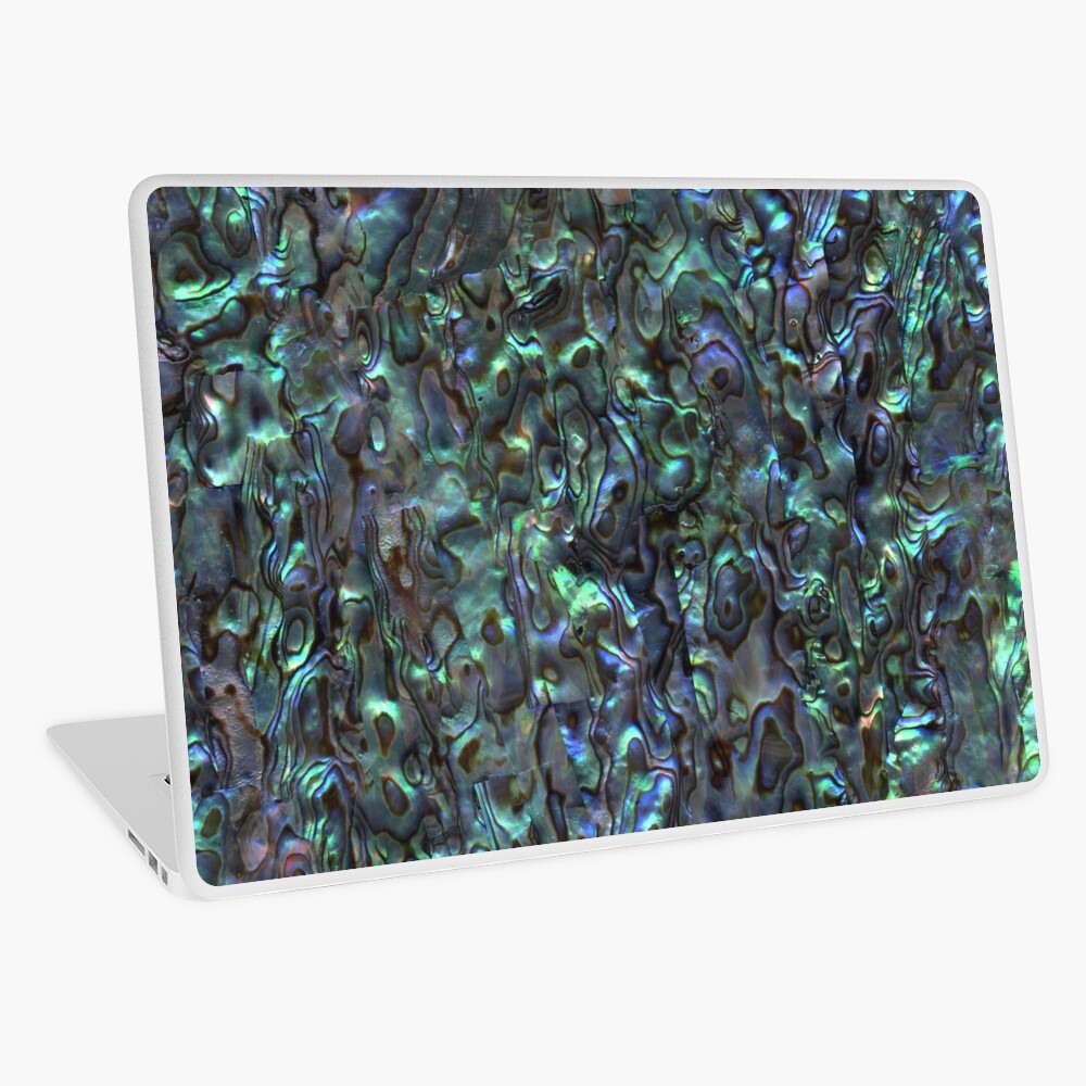 Abalone Shell | Paua Shell | Seashell Patterns | Sea Shells | Natural | Laptop Skin