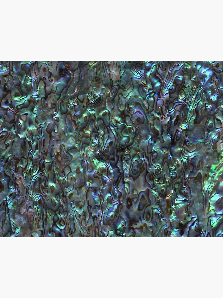Abalone Shell Paua Shell Seashell Patterns Sea Shells Natural iphone 11 case Abalone Shell Paua Shell Seashell Patterns Sea Shells Natural iphone 11 case