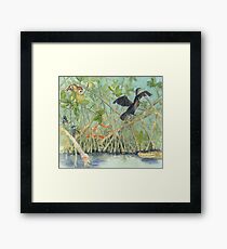 Mangroves Framed Print