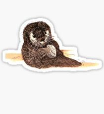 Otter: Stickers | Redbubble