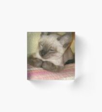 Sleepy Kitty Acrylic Block