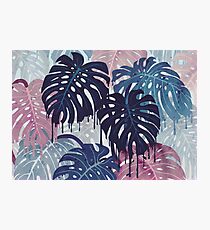 Monstera Melt Photographic Print
