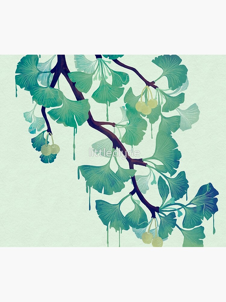 O Ginkgo (in Green) by littleclyde