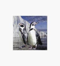 Penguins Art Board