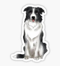 Border Collie Sticker
