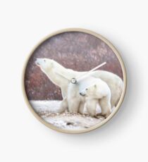 Eisbär Mom schnüffelt die Luft Uhr