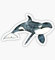 Orca Watercolour Sticker