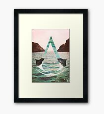 Shanty Assassin Framed Print