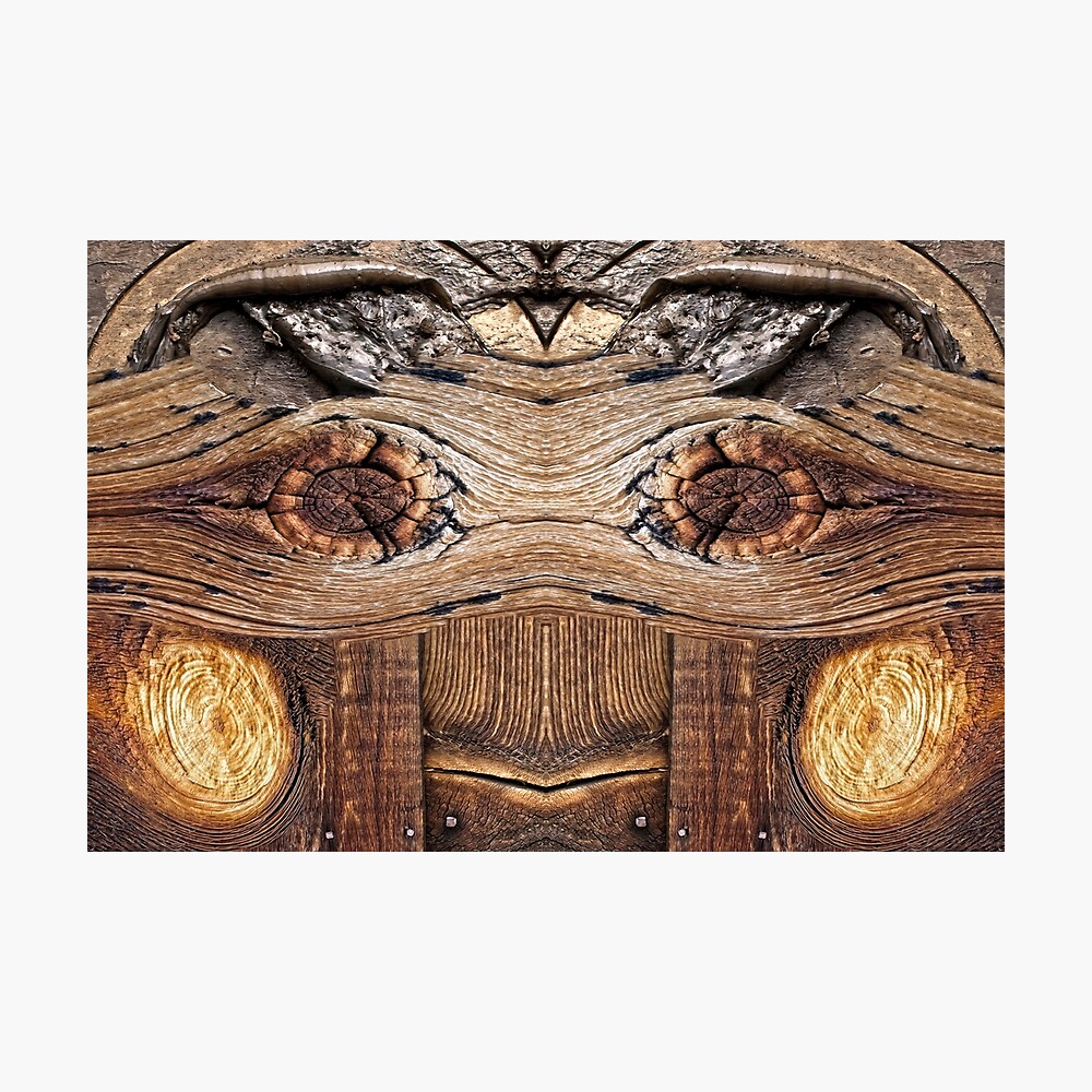 Knoticus Fotodruck