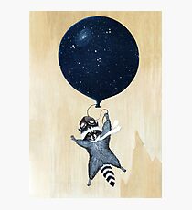 Raccoon Photographic Print