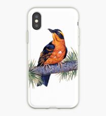 Birds In Hell iPhone Case