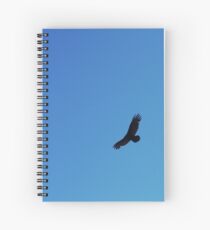Hawk Spiral Notebook