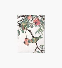 Pomegranate and Lovebirds Art Board