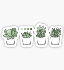Tiny Potted Succulents and Gradient Sticker