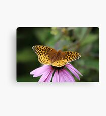 Butterfly Contemplation Canvas Print