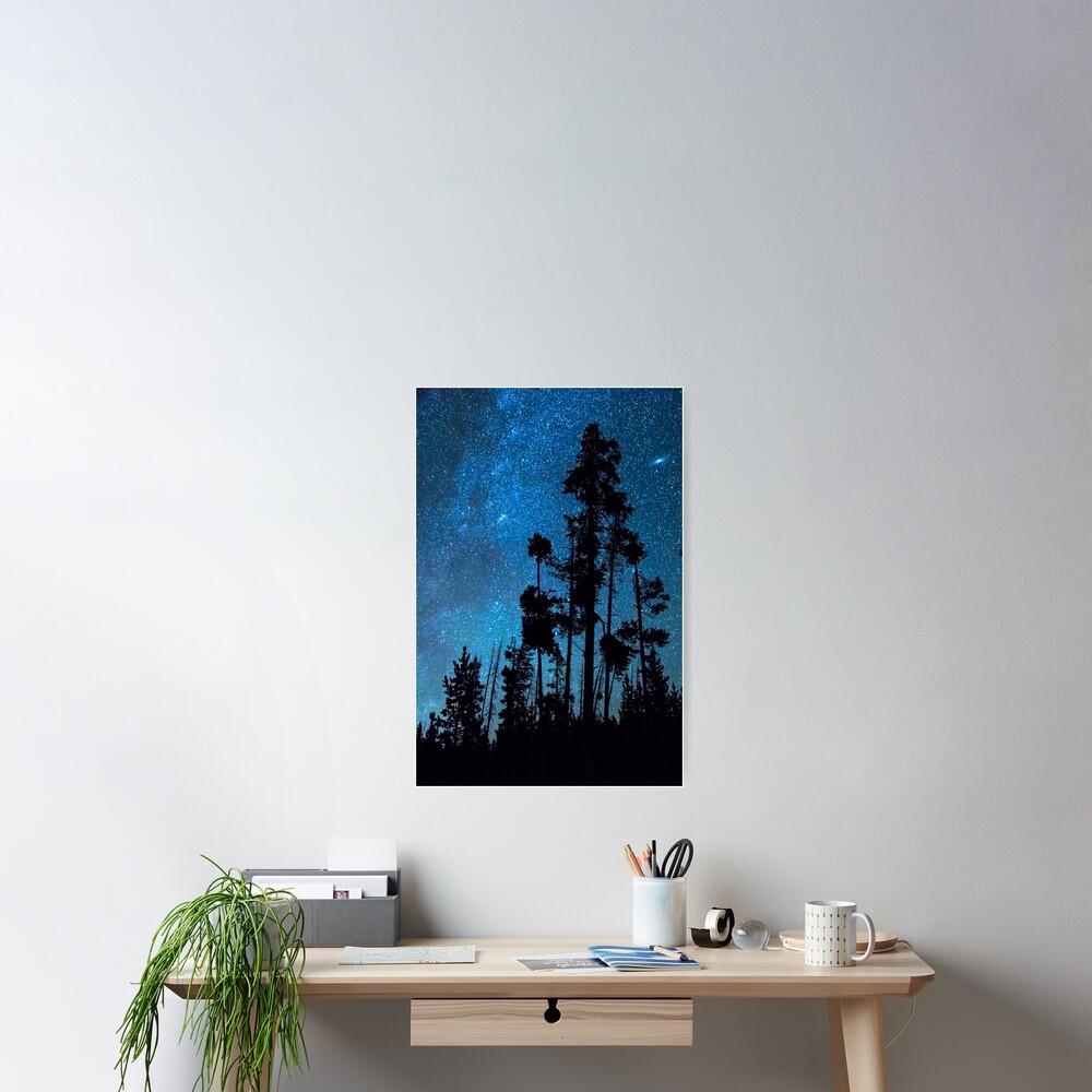 Pinnacle Of The Forest Poster