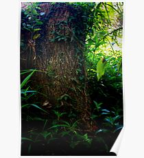 Stumped Poster