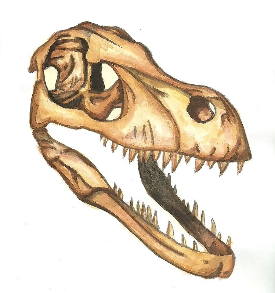 dino skull