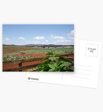 Rural Scene Postcards