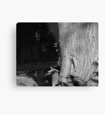 Waiting Metal Print