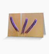 Stamens Greeting Card