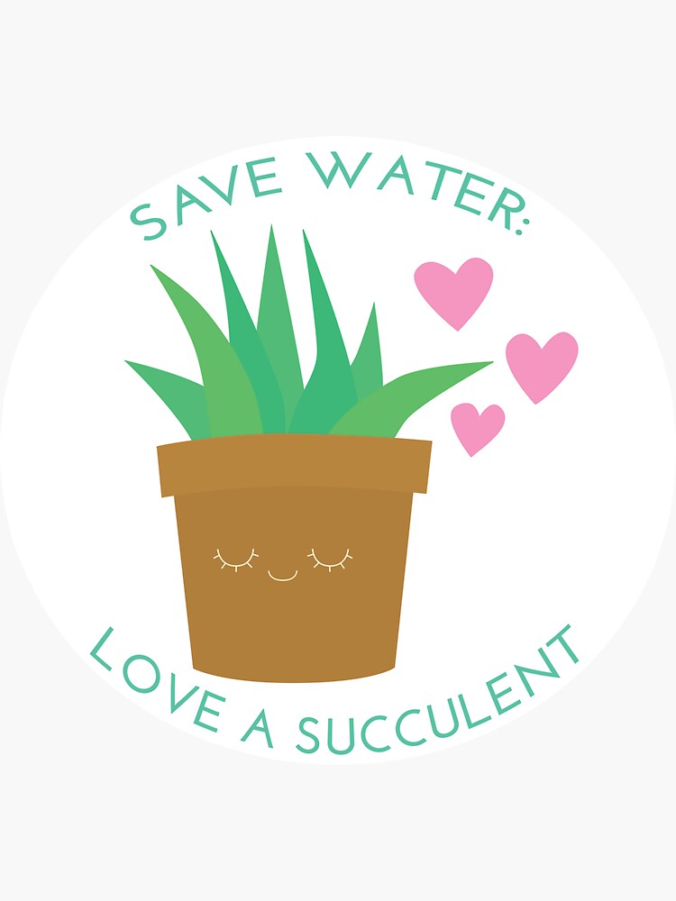 Save Water: Love a Suculent by juliasaidwhat