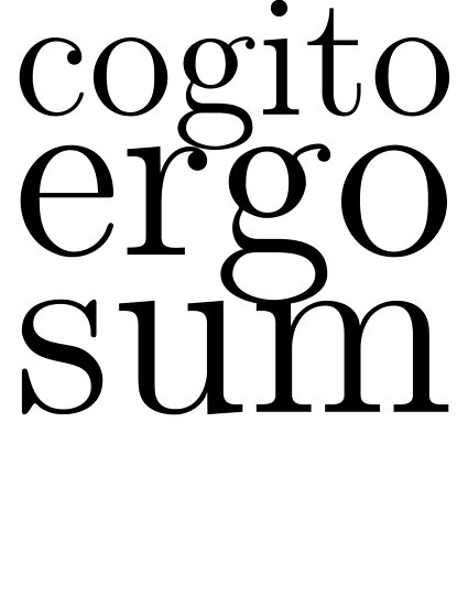 Cogito Ergo Sum Posters By Criangulien Redbubble