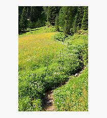 Idyll Photographic Print