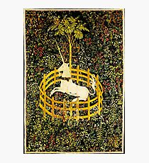 HD The Unicorn in Captivity (1494 aprox) Photographic Print